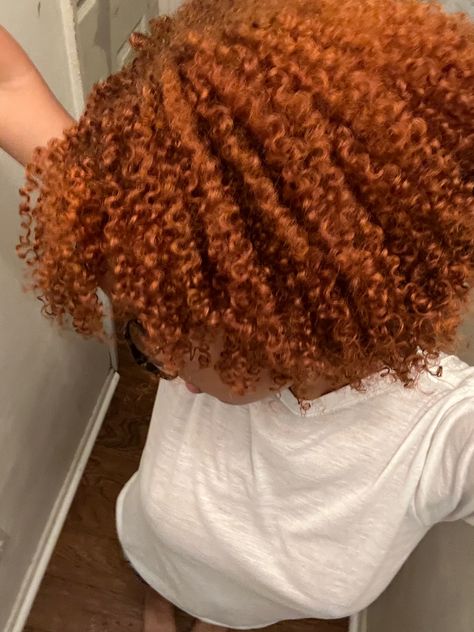 Ginger Curly Hair, Dyed Curly Hair, Girl Hair Colors, Honey Brown Hair, Ginger Hair Color, Hairstyle Tutorials, Natural Hair Care Tips, Dyed Hair Inspiration, Colored Curly Hair