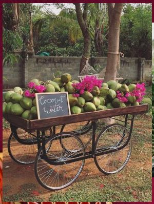 tender coconut water stand Coconut Station Wedding, South Indian Haldi Decoration, Indian Wedding Fun Ideas, Indian Wedding Decor Simple, Mehendi Stall Ideas, Fun Indian Wedding Ideas, Green Mehndi Decor, Indian Wedding Food Station, Fruits Decoration Ideas For Wedding