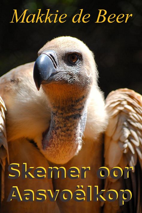 ?Skemer oor Aasvo?lkop #, #SPONSORED, #Aasvo, #lkop, #oor, #download #Ad Cape Vulture, Dragonflies, Mammals, Digital Illustration, Butterflies, Cape, Birds, Animals