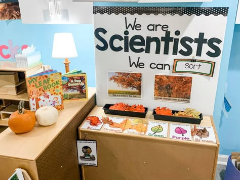 We Are Scientists Display, Eyfs Science Area, Fall Science Center Preschool, Science Area Preschool Classroom, Science Area Preschool, Fall Science Center, Science Corner, Science Center Preschool, Play Based Classroom