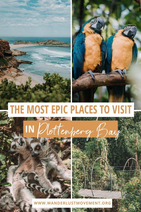 On the hunt for the best things to do in Plettenberg Bay, South Africa? Here is everything you don't want to miss when visiting this town! South Africa Travel | Garden Route, South Africa | #southafrica #africatravel #gardenroute #plettenbergbay Upington South Africa, Plettenberg Bay South Africa, Jeffreys Bay South Africa, South Africa Itinerary, Garden Route South Africa, South Africa Vacation, Africa Itinerary, Africa Vacation, Jeffreys Bay