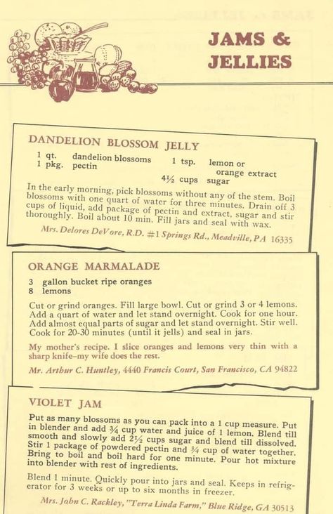 Vintage Jam Recipes, Agricultural Anarchy, Amish Canning, Bake Off Recipes, Canning Kitchen, Jams And Jellies, Champagne Cupcakes, Home Canning Recipes, Canning Vegetables