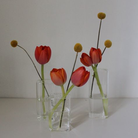 architectural bud vases with tulips and craspidia. Tulips Theme Party, Tulips In Bud Vases, Tulips Vase Aesthetic, Tulip Theme Party, Tulip Wedding Decor, Tulip Wedding Theme, Tulip Table Decor, Wedding Reception Decorations Lights, Tulip Bud Vase