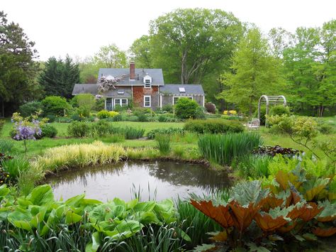 Farm Pond- i love the vegetation around it, but would like spots of clearing for kids to be able to access the edge safely without hidden snakes. Farm Pond, Building A Pond, Garden Pond Design, Fountains Backyard, Pond Water Features, Pond Landscaping, Backyard Water Feature, Natural Pond, Pond Design