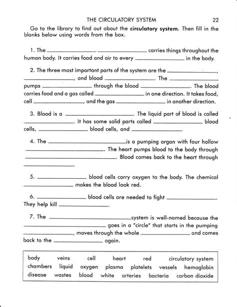 17 Best Images Of Circulatory System Reading Worksheet And Answer Circulatory System Worksheets, Circulatory System For Kids, Circulatory System Activities, Human Circulatory System, Human Body Worksheets, Biology Worksheet, Teaching Biology, Physical Education Games, Human Body Systems