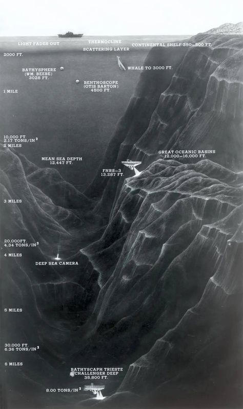 Jacques Piccard and Don Walsh's journey into the depths of the Mariana Trench opened a window into one of the most mysterious environments on the planet. Mariana Trench Ocean, Challenger Deep, Mariana Trench, Continental Shelf, Marianas Trench, Earth And Space Science, Intelligent People, Earth From Space, Fade Out