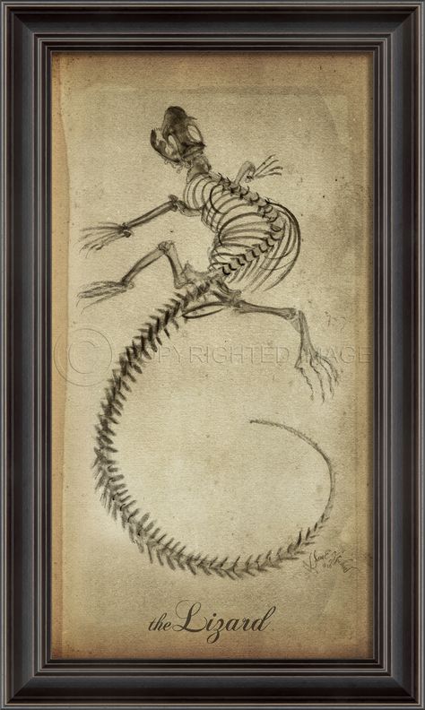 Lizard Skeleton Tattoo, Lizard Skeleton, Skeleton Back, Tatu Baby, Evil Tattoos, Animal Skeletons, Skeleton Tattoos, Halloween Images, Dots Art