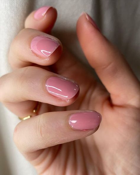 Rachel on Instagram: "Lipgloss nails with Goddess Bodice gel couture @essie I was influenced by @polisheddmd to try out this look! I love this color and the sweet romantic look it’s giving. I painted three coats to achieve full coverage. #lipglossnails #beauty #sweet #romantic #sheerpinks #influenced #goddessbodice #essielove #paintyournails" Essie Bodice Goddess, Pink Painted Nails, Gel Couture Essie, Light Pink Gel Nails, Translucent Pink Nails, Lipgloss Nails, Summer Nail Colours, Lip Gloss Nails, Pink Toe Nails