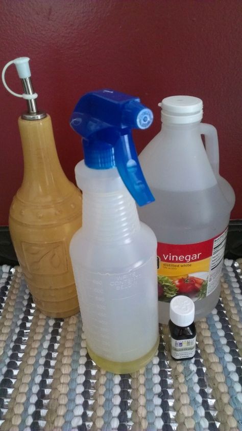 Bring that Leather back to life...DIY Leather Cleaner!!! - Living Chic Mom Homemade Coconut Oil Lotion Recipe, Diy Leather Cleaner, Coconut Oil Lotion Recipe, Leather Cleaner Diy, Coconut Oil Lotion, Homemade Coconut Oil, Theater Chairs, Homemade Moisturizer, Lotion Recipe