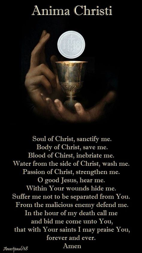 Our Morning Offering – 10 June – Tenth Sunday of the Year B  Anima Christi  Soul of Christ, sanctify me. Body of Christ, save me. Blood of Chirst, inebriate me. Water from the side of Christ, wash me. Passion of Christ, strengthen me....#mypic Anima Christi Prayer Catholic, Anima Christi Prayer, Passion Of Christ Images, Anima Christi, Morning Offering, Passion Of The Christ, Eucharistic Adoration, Catholic Beliefs, The Eucharist