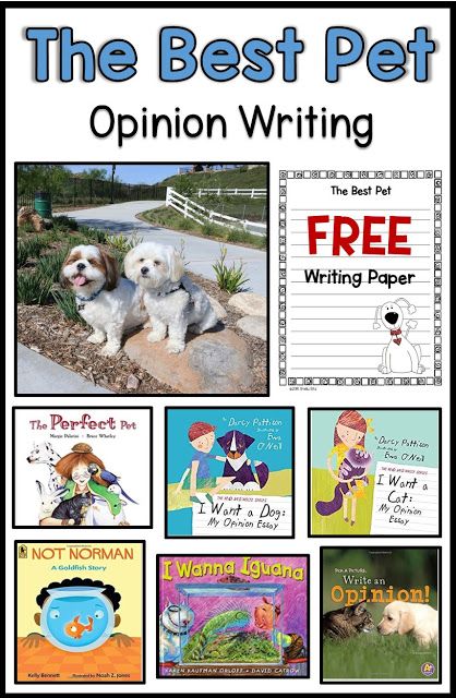 Opinion writing about The Best Pet. I like all the mentor texts. Opinion Writing Grade 2, Opinion Writing Second Grade, Opinion Writing Mentor Text, Teaching Opinion Writing, Writing Mentor Texts, Opinion Writing Activities, Persuasive Text, Free Writing Paper, Explanation Writing