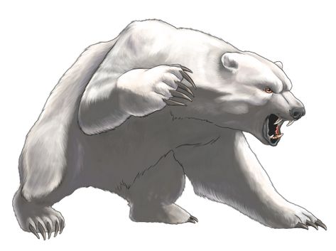 Angry Bear Drawing, Bear With White Background, Dnd Polar Bear, Bear Roaring Drawing, Bear Monster Art, Angry Bear Illustration, Fantasy Polar Bear, Polar Bear Drawing, Bear Sketch