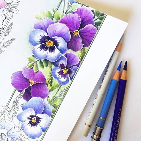 Kari (@kdcolouring) • Instagram photos and videos Flowerscape Coloring, Maggie Enterrios, Colored Pencil Drawing Techniques, Butterfly Sketch, Faber Castell Polychromos, Pencil Artwork, Pen Art Drawings, Colored Pencil Artwork, Colored Pictures