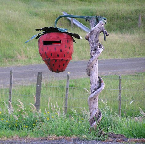 71 Times People Took Their Mailboxes To The Next Level | Bored Panda Funny Mailboxes, Fancy Fence, Cool Mailboxes, Mailbox Stand, Diy Mail, Diy Mailbox, Vintage Mailbox, Unique Mailboxes, Letter Boxes