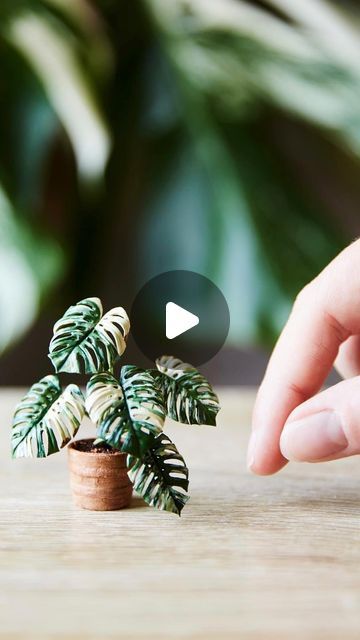 Mini Planters Diy, Polymer Clay Plants Tutorial, Polymer Clay Miniatures Tutorials, Polymer Clay House Plants, Miniature Plants Diy, Miniature House Plants Diy, Mini Plants Diy, Dolls House Plants Diy, Clay Plants