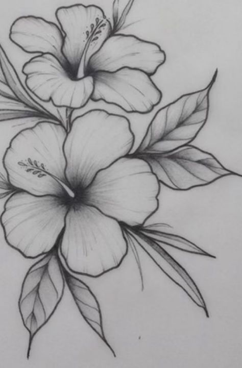 Habisquis Flower Painting, Maga Flower Tattoo, Hisbusic Flower Drawing, Hibiscus Flower Sketch, Hawaiian Flower Drawing, Tropical Flower Tattoos, Hibiscus Drawing, Hibiscus Flower Drawing, Hibiscus Tattoo