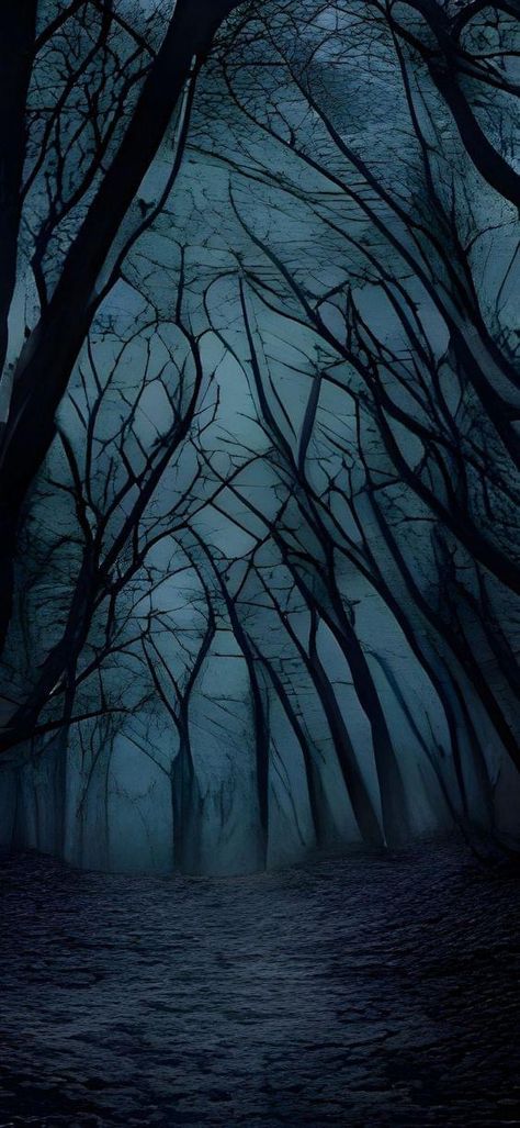 8k Images, Dark Forest Aesthetic, Dark Landscape, Slowed Reverb, Gothic Wallpaper, Cocoppa Wallpaper, Foggy Forest, Dark Nature Aesthetic, Night Forest