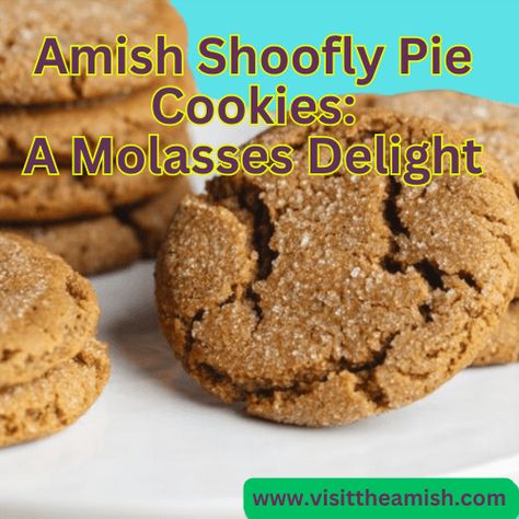 Enjoy these Amish Shoofly Pie Cookies for a unique and flavorful taste of Amish tradition! Church Snacks, Maple Bacon Cinnamon Rolls, Amish Cookies, Amish Bakery, Amish Butter, Shoofly Pie, Pie Cookies, Shoo Fly, Amish Recipes