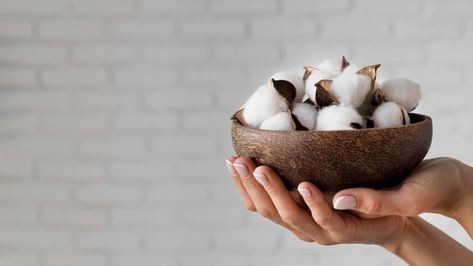 Close-up hands holding bowl with cotton ... | Free Photo #Freepik #freephoto #woman #home #organic #natural Holding Bowl Reference, Bowl Reference, Luxury Bathroom Rug, Cotton Branches, Soul Collage, Hands Holding, Fabric Textures, Hand Model, Hand Holding