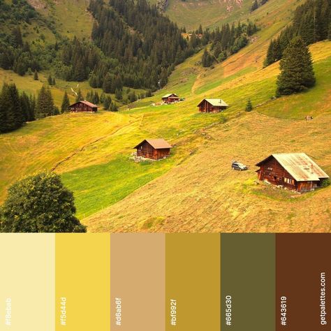 Ocre Color Palette, Color Composition, Embroidery Ideas, Colour Schemes, Color Theory, Color Palettes, Color Combos, Color Combinations, Home Interior Design