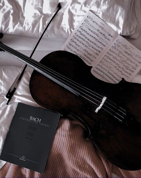 Black Violin, Dark Acadamia, The Infernal Devices, Dark Academia Aesthetic, Music Aesthetic, Academia Aesthetic, Violinist, Brown Aesthetic, Aesthetic Vintage