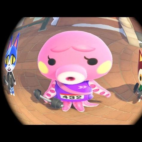 Marina Animal Crossing, City Folk, Harvest Festival, Earl Grey, New Leaf, Profile Pictures, Mood Pics, Animal Crossing, Profile Picture