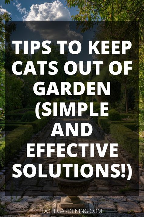 Discover practical solutions to keep your garden safe from curious felines. Learn about cat repellent methods, humane deterrents, and natural solutions for protecting your plants. Explore tips like using prickly plants, motion-activated sprinklers, essential oils, and sound devices. Find out how to create a cat-proof garden with fencing and mesh barriers. Click for more details on keeping cats out of your outdoor space! Keeping Cats Out Of Garden, How To Keep Cats Out Of Yard, How To Keep Cats Out Of Garden, Keep Cats Out Of Garden, Cat Deterrent Outdoor, Cat Repellant Outdoor, Cat Proof Garden, Garden Soil Preparation, Basil Garden