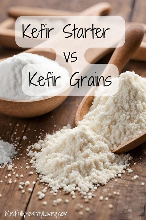 A Pinterest-optimized image of A wooden bowl of freeze-dried kefir starter powder next to a bowl of kefir starter grains and text overlay that says kefir starter vs kefir grains mindfullyhealthyliving.com Kefir Sourdough Starter, Kefir Grains How To Make, Homemade Kefir Recipes, Vegan Kefir Recipe, What To Do With Kefir, How To Make Kefir At Home, Vegan Kefir, Making Kefir, Homemade Kefir