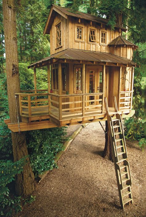 Charmed Playhouse, Simple Tree House, Playhouse Ideas, Treehouse Masters, Building A Treehouse, Tree House Plans, Tree Fort, Tree House Diy, Tree House Kids