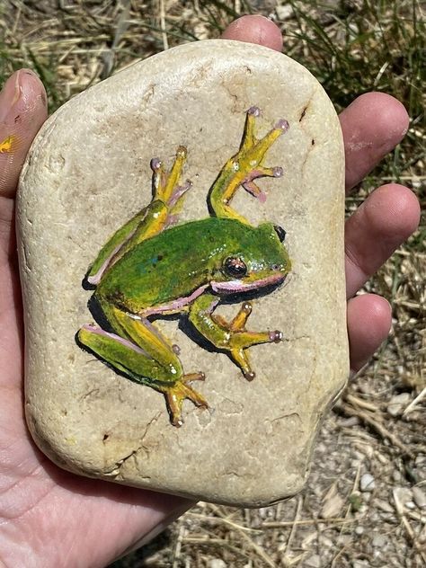 Rock Painting Realistic, Turtle Rock Painting, Turtle Painted Rocks, Frog Rock, Garden Rock Art, Diy Rock Art, Painted Rock Animals, Art Pierre, Stone Art Painting