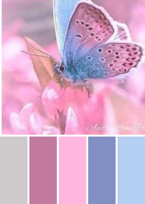 Beautiful Color Combinations Inspiration, Butterfly Color Scheme, Butterfly Colour Palette, Color Cube Palette, Rembo Colour, Butterfly Color Palette, Turquoise Color Combinations, Cercei Din Lut Polimeric, Purple Color Combinations