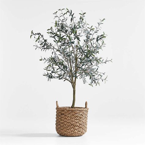 Faux Botanicals, Live Plants & More | Crate & Barrel Square Living Room, Coastal Mediterranean, Long Art, Decorate For Fall, Faux Olive Tree, Artificial Floral Arrangements, Ficus Tree, Grey Sofa, Decor 2023