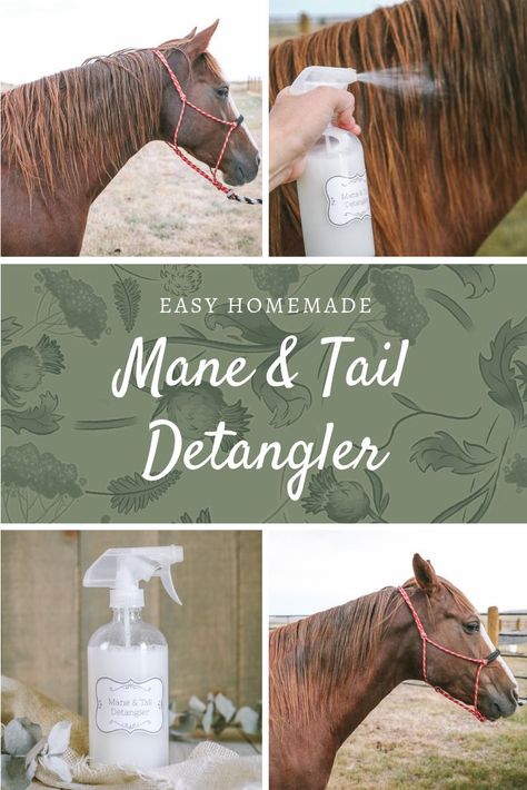 Homemade Horse Hair Detangler Recipe The Prairie Homestead, Prairie Homestead, Horse Braiding, Fly Spray, Horse Care Tips, Horse Mane, Horse Tail, Horse Training Tips, Hair Silky