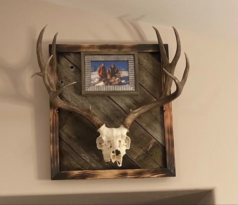 Deer Antler Plaque Ideas, European Deer Mount Ideas Girly, European Deer Mount Ideas Wood, Whitetail European Mount Ideas, Diy European Deer Mount, European Skull Mount Ideas, Euro Mount Ideas, Deer Skull Mount Ideas, Deer Mounts In Living Room