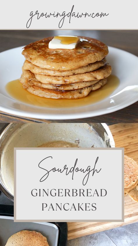 When it comes to holiday flavors, gingerbread is a favorite. The combination of sweet, earthy molasses and warm spices can’t be beat. These sourdough gingerbread pancakes are a great Christmas, Thanksgiving, or holiday breakfast idea, sure to satisfy your taste for the holidays! Sourdough Gingerbread, Sourdough Discard Pancakes, Gingerbread Pancakes Recipe, Sourdough Ideas, Eat Mindfully, Gingerbread Pancakes, Sourdough Pancakes, Easy Sourdough, Homemade Sourdough Bread