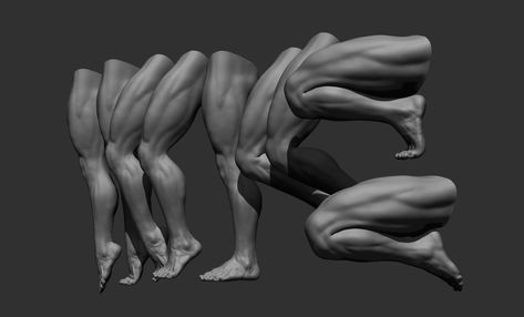 Male Leg Anatomy, Human Muscular System, Leg Anatomy, Wild Geese, Anatomy Models, Human Anatomy Drawing, Body Sketches, Anatomy Poses, Body Anatomy