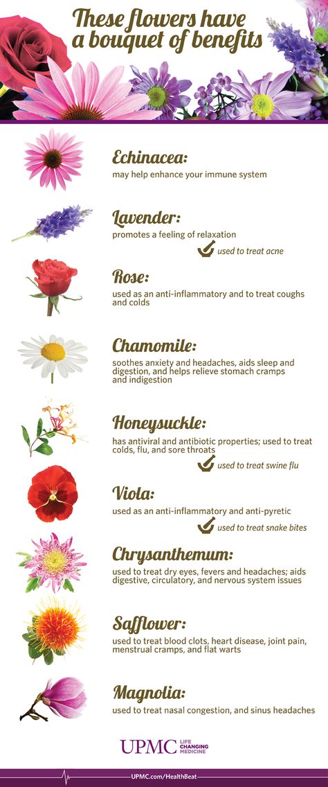 Infographic: Health Benefits of Flowers Herbs For Headaches, Flowers For Tattoos, Pretty Flower Names, Herb Healing, Herbs Drying, Eco Therapy, Flower Healing, Lavender And Red, Fae Magic