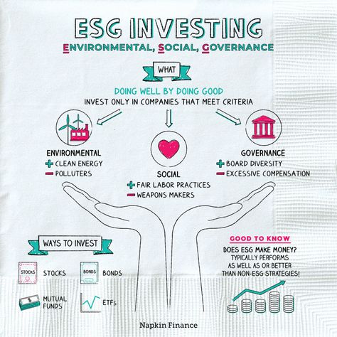 Napkin Finance, Sustainable Finance, Finance Literacy, Activities Board, Educational Facts, Teaching Economics, Investing Infographic, Economic Terms, Financial Literacy Lessons