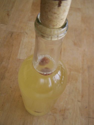 A Handmade Life: Sima - a Finnish Spring Mead Sima Recipe, Cyser Mead Recipe, Non Alcoholic Mead Recipe, Dandelion Mead, Making Mead From Honey, Making Mead At Home, Mead, Recipe Box, Home Brewing