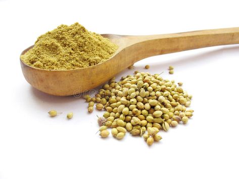 Coriander. Whole coriander seeds and powder isolated on white background , #SPONSORED, #seeds, #coriander, #Coriander, #powder, #background #ad Coriander Plant, Spices Photography, Dark Food, Coriander Seed, Ayurvedic Hair Care, Dark Food Photography, Masala Spice, Ayurvedic Hair, Shop Poster