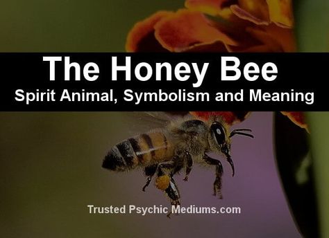 Honey Bee Symbolism Meaning, Honey Bee Meaning, Honey Bee Symbolism, Bee Witchcraft, Meaning Of Bee Tattoo, Bumble Bee Tattoo Meaning, Bee Symbolism, Bee Spirit Animal, Bee Tattoo Meaning