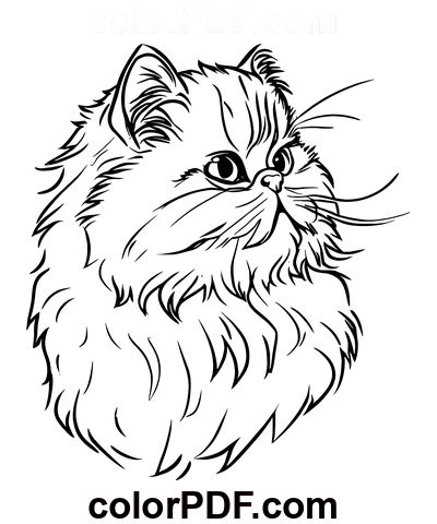 Persian Cat Head – Coloring Pages and Books in PDF Persian Cat Tattoo, Persian Cat, Cat Tattoo, Printables Kids, Simple Lines, Free Coloring Pages, Pencil Sketch, Coloring Sheets, Coloring Pages For Kids