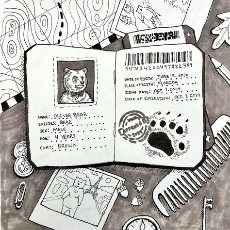 Today’s word is #passport #inktober @inktober #inktober2024 #inktober2024passport #inktoberpassport #bear #pawprint #adventure #documents #portrait #map #travel #ink #inkdrawing #drawing #draw #sketch #pen #penandink #penandinkdrawing Passport Sketch Drawing, Passport Inktober, Bear Species, Sketch Pen, Map Travel, Draw Sketch, Ink Sketch, Ink Pen Drawings, Ink Drawing