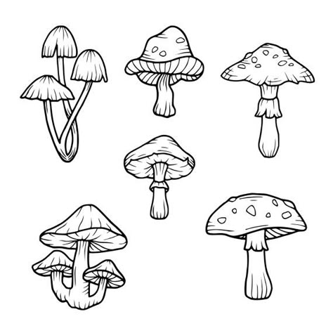 Matching Mushroom Tattoos For 3, How Draw Mushrooms, Mushroom Flash Tattoo Simple, Mushroom Cluster Drawing, Mushroom Tattoo Minimalist, Mushroom Flash Sheet, Mushroom Outline Tattoo, Mushroom Tattoo Design Simple, Mushroom Tattoo Ideas Simple