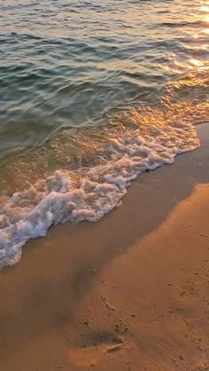 Camping Michigan, Markere Copic, Muskegon State Park, America Video, Michigan Sunset, Beach Dunes, Michigan State Parks, Beach Video, Söt Katt