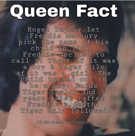 Queen Facts, Queen The Band, Freddie Mercury Quotes, Queen Humor, Queen Meme, Roger Taylor Queen, Queen Bohemian Rhapsody, Borhap Cast, A Night At The Opera