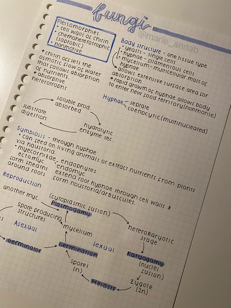 Aesthetic Study Notes Layout, Notebook Organization Ideas School, Aesthetic Language Notes, Notes Ideas Easy, Class Notes Aesthetic, Simple Aesthetic Notes, Take Notes Ideas, Nota Aesthetic, Flashcards Aesthetic