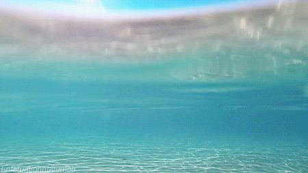 Soothing Gifs, Moving Pictures, Aesthetic Gif, Tropical Vibes, Images Gif, Pop Tarts, Beach Life, Under The Sea, Cool Gifs