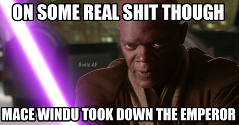 Mace Windu was the realest. Mace Windu, Funny Tumblr, What's App Status, Funny Pranks, Funny People, Funny Posts, Funny Kids, Funny Texts, Funny Dogs