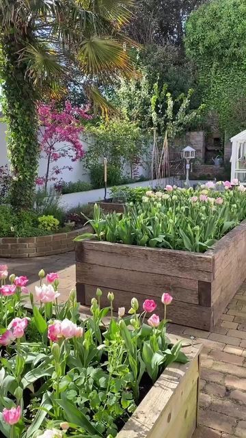 Serena & Lily on Instagram: "@ourclapboardhomebythesea has us dreaming of enjoying the warmer months amongst fresh blooms. 🌷 #serenaandlily" Garden Tulips, Raspberry Canes, French Beans, Easter Lunch, State Of Play, Tulips Garden, Bottle Garden, English Cottage Garden, Veg Garden